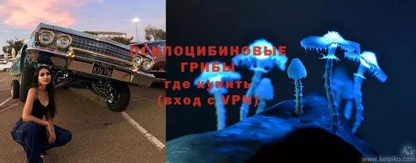 ПСИЛОЦИБИНОВЫЕ ГРИБЫ Арсеньев