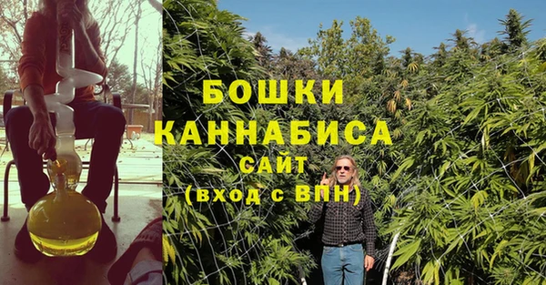 ПСИЛОЦИБИНОВЫЕ ГРИБЫ Арсеньев