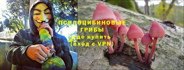 ПСИЛОЦИБИНОВЫЕ ГРИБЫ Арсеньев