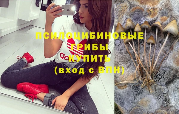 ПСИЛОЦИБИНОВЫЕ ГРИБЫ Арсеньев