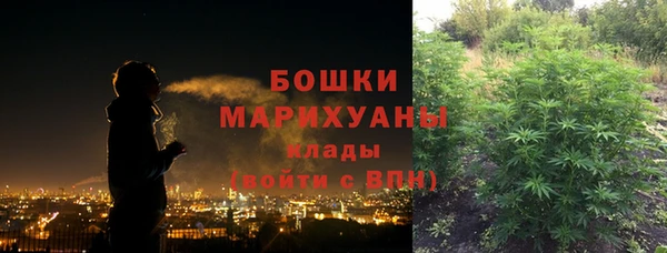 ПСИЛОЦИБИНОВЫЕ ГРИБЫ Арсеньев