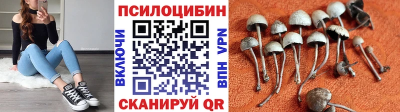 дарнет шоп  Шацк  Псилоцибиновые грибы GOLDEN TEACHER 